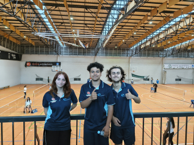 Fase Final de Badminton